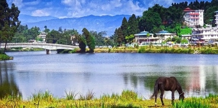 mirik tour plan