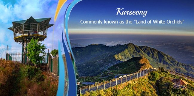 Tourism in Kurseong, 10 most attractive places in Kurseong