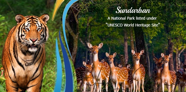 Sundarban Tourism